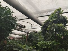 -春满园生态餐厅(南宫路店)