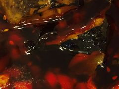 -新辣道鱼火锅(航天万源店)