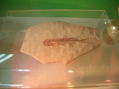 景点-百里山水画廊