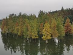 -白鹭湾湿地公园