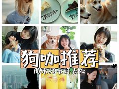 -浮梦·高空下午茶&水晶DIY