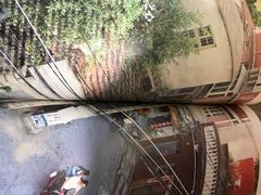 -巴浪鱼咖啡馆 Local Fish