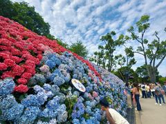 -苏州上方山国家森林公园