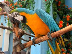 -北京野生动物园