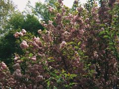 -南京东郊国宾馆