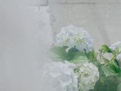 -艾蜜西餐厅(梅园店)