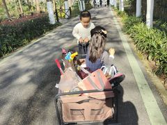 -合肥滨湖国家森林公园