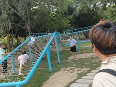 -渭滨公园