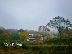 -塔川景区