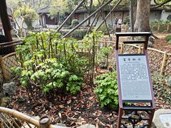 -上海醉白池公园