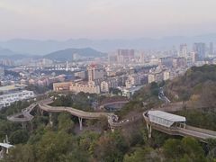 -福道