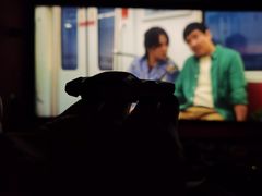 -卢米埃IMAX影城(长楹天街杜比全景声激光店)