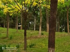-东郊湿地公园