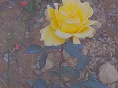 -贵州省植物园