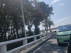 -晋江动车站