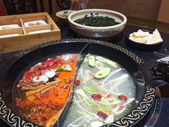 -渝大龙重庆火锅(温泉月亮湾店)