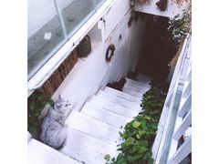 -小时光咖啡馆(北锣鼓巷店)