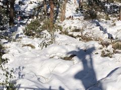 -瓦屋山景区