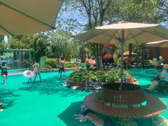 -苏州乐园森林水世界