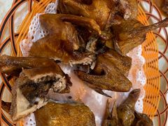 招牌红烧乳鸽16.8元/只-有腥气私房菜·寻味顺德