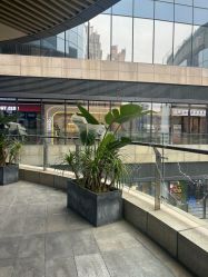 -Hair Code芭曲发型