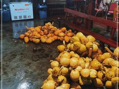-万兴启丰椰子文化园餐厅