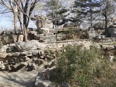 -尚庄度假村·庭台树下·户外烧烤·团建CS·轰趴营地(上庄水库店)