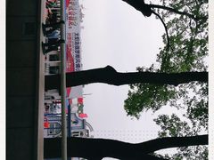 -人民防洪胜利纪念塔