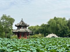 -莲池书院博物馆