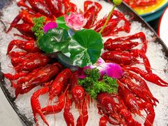 -舞虾小说.涮肉.烧烤(国顺东路店)