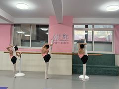 -蒲公英舞蹈艺术中心(解放路校区)