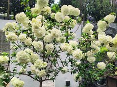 -瓯菜排档·温州海鲜(玕南店)