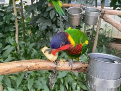 -南宫五洲植物乐园