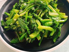 -京北渔家傲