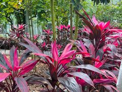 -歌斐颂巧克力小镇