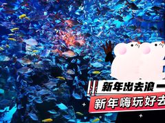 -成都浩海立方海洋公园