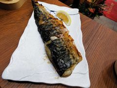 -鸟鹏烧鸟居酒屋(熙龙湾店)