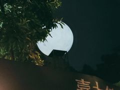 -巴倒烫陆派火锅山庄(南山总店)