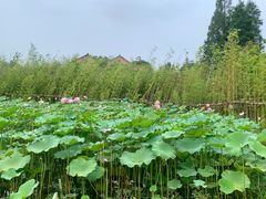 -百翠山居.家飨餐厅