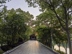 -长广溪湿地公园