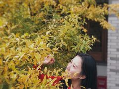 -龙潭水乡