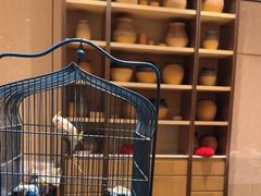 -莲·中餐厅(成都首座万豪酒店)