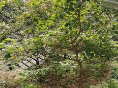 -爱花居鲜花店(友情人花艺九二路1298店)