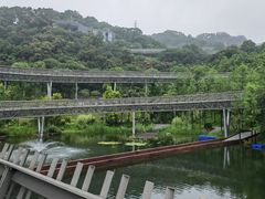-福道