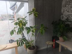 -喜茶(珠海华发商都店)