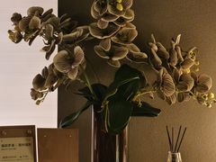 -安屿an·spa(卓悦中心商场店)