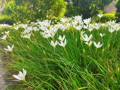 -那琴半岛地质海洋公园