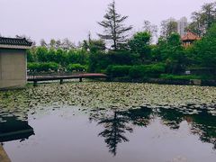 -四川大学(望江校区)