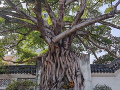 -墨池公园