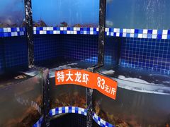 水产区-指爱龙虾(金杨路总店)